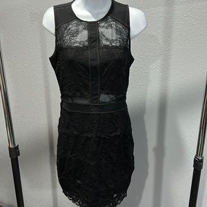 NWT gorgeous lace body on style dress